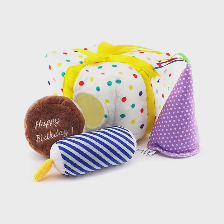 Birthday Present Find the Dog Toys! by Midlee