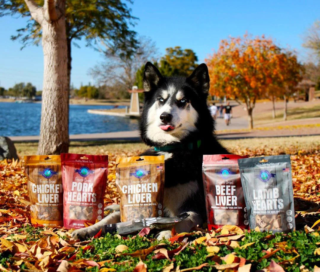 Freeze Dried Lamb Heart Treats - USA