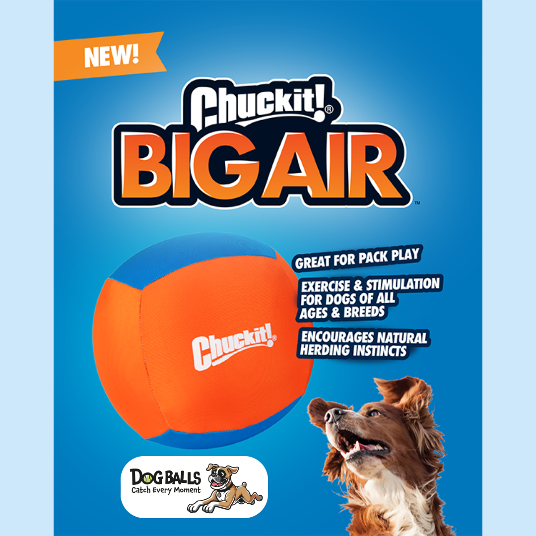 Chuckit! Big Air