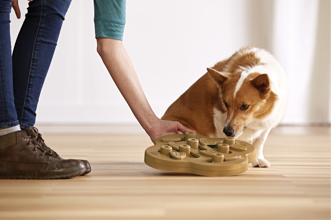 Dog Hide N' Slide Interactive Treat Puzzle - Tan