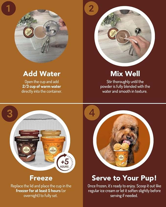 Hoggin' Dogs Ice Cream Mix Pumpkin 4.65 oz