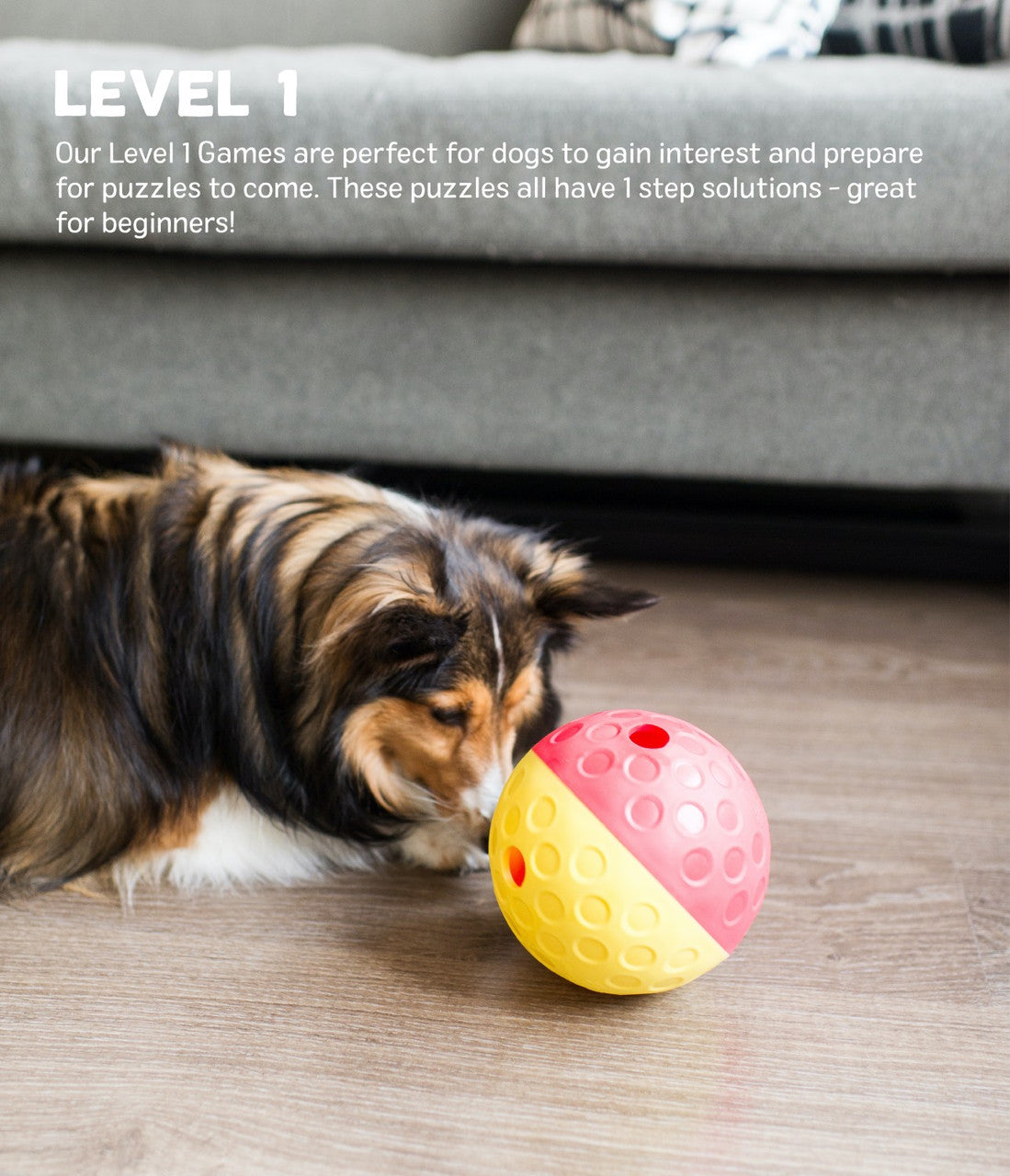Treat Tumble Interactive Puzzle Dog Toy - Blue - Small
