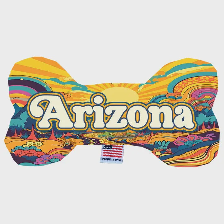 Arizona Trippy Peaks Bone Dog Toy