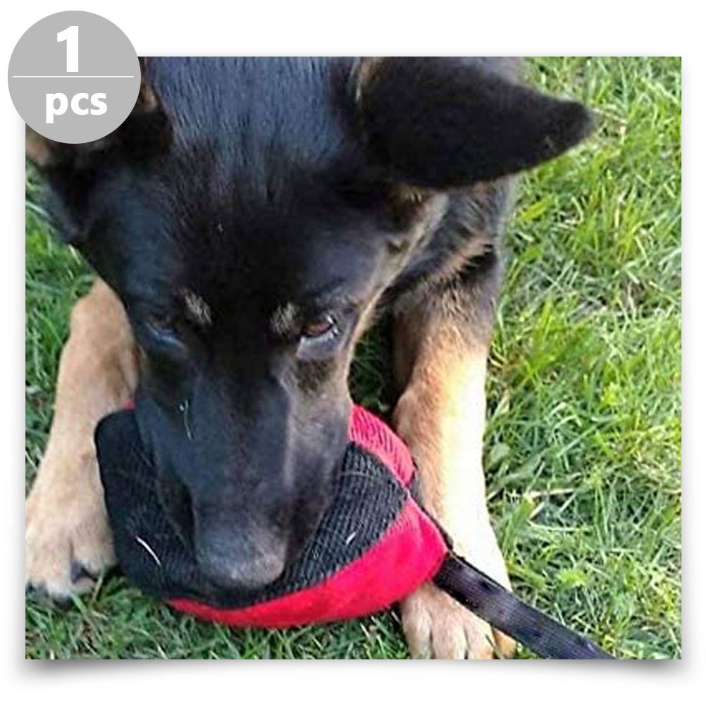 Bite Bag - Training Device