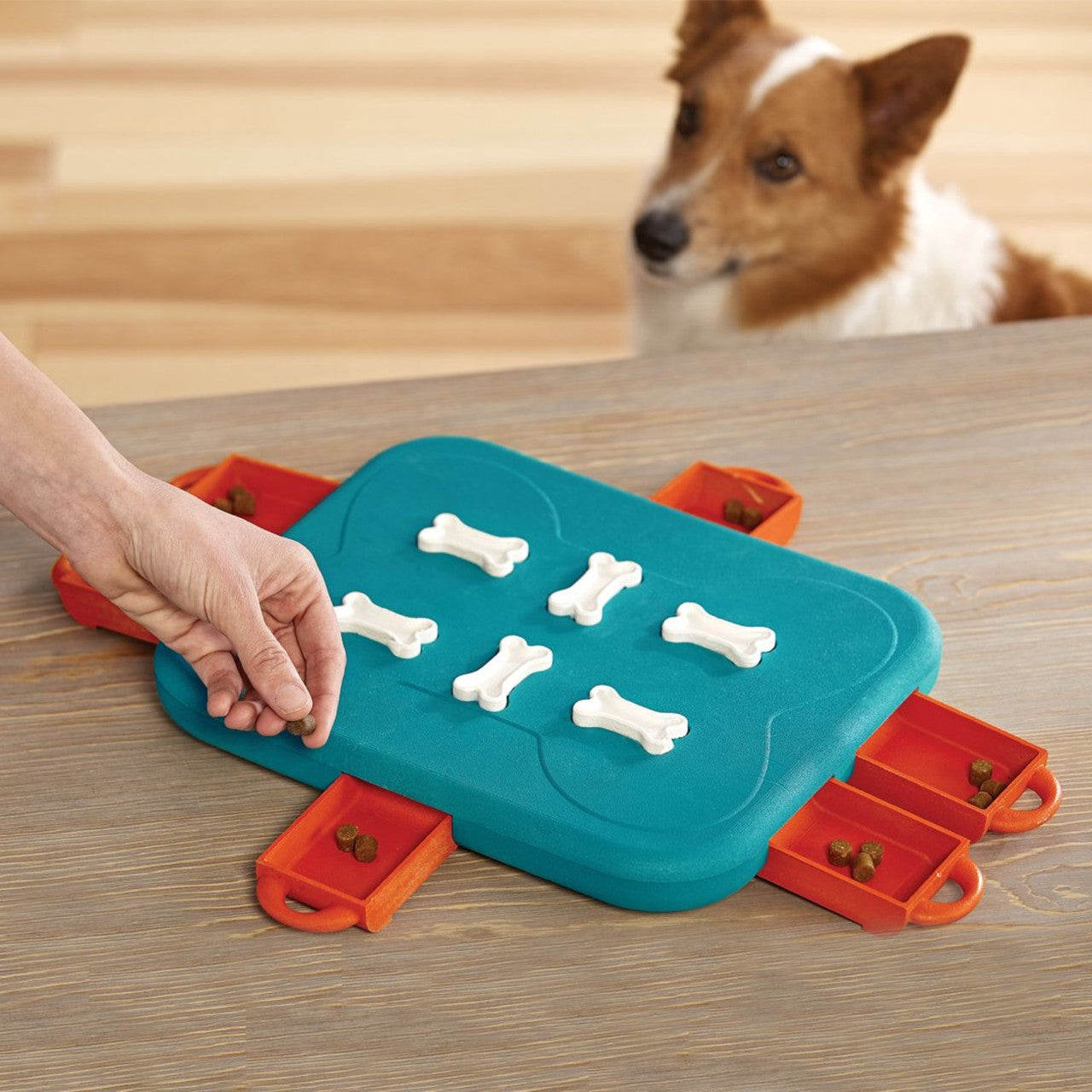 Dog Casino Interactive Treat Dog Puzzle Toy