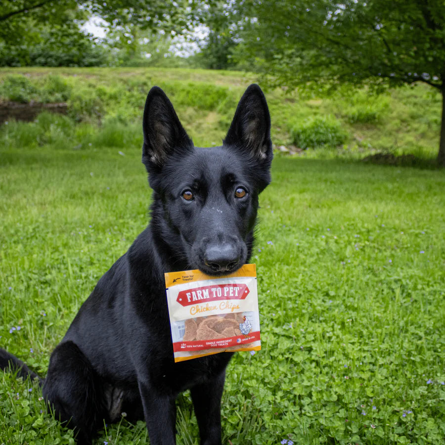 Chicken Chips Snack Packs for Dogs