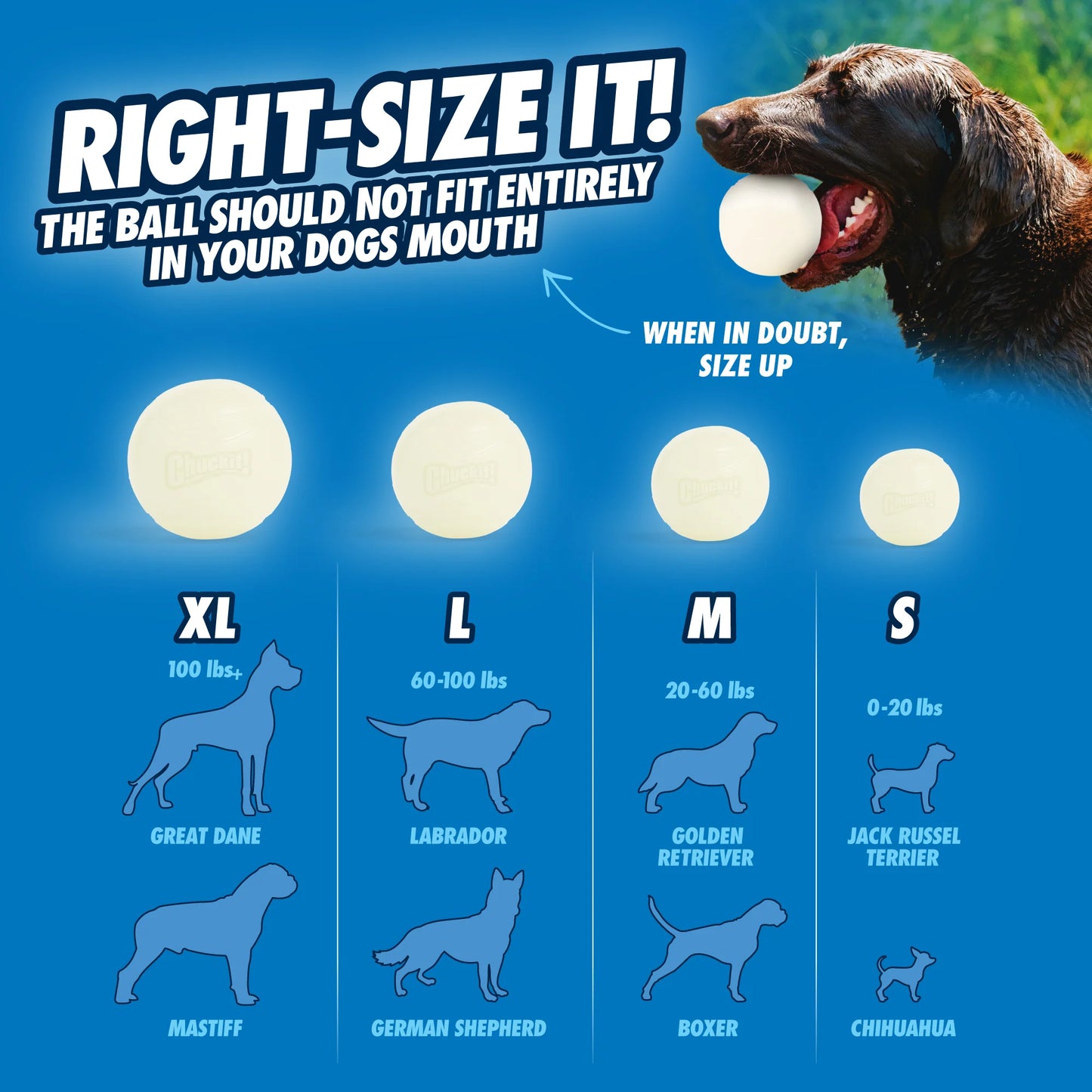 Chuckit!® Max Glow Ball