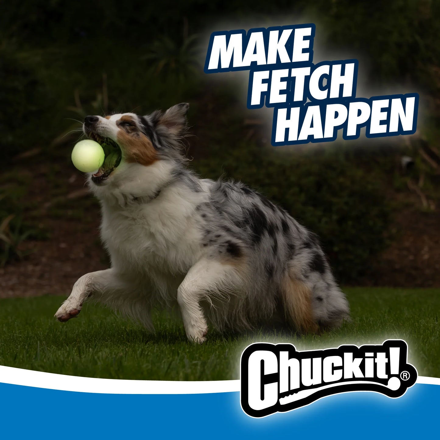 Chuckit!® Max Glow Ball