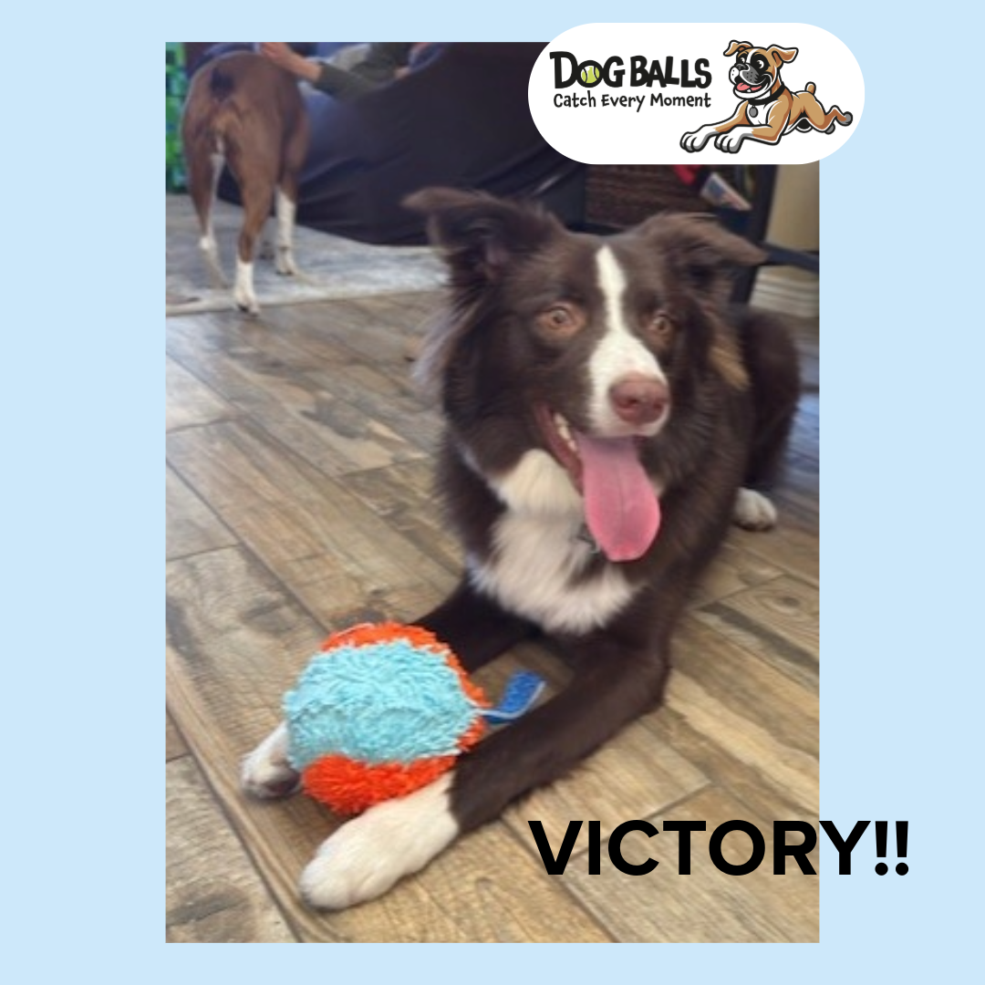 Chuckit! Indoor Ball