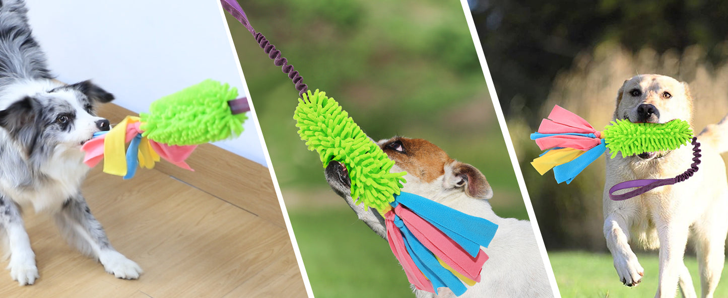 Bungee Tug Of War Rope Toy
