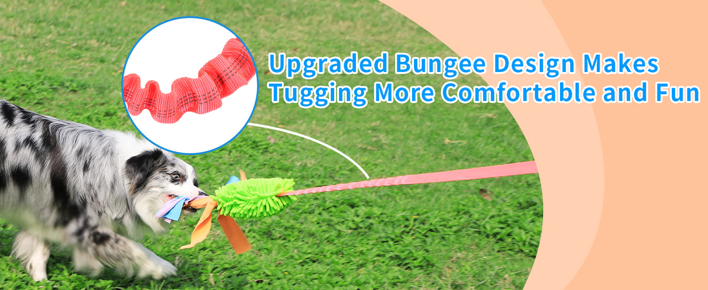 Bungee Tug Of War Rope Toy