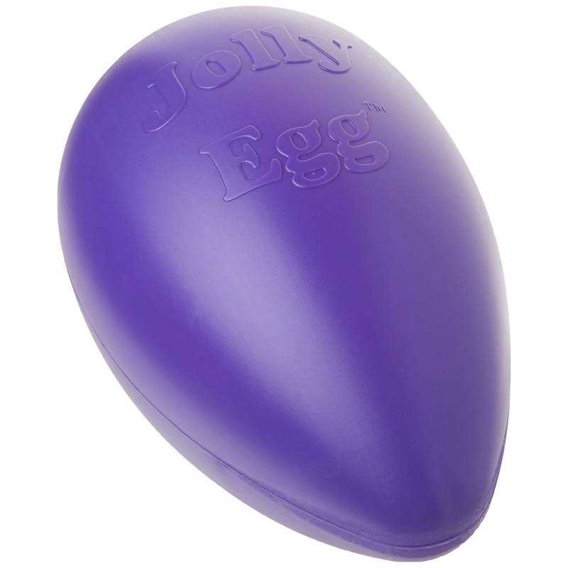 Jolly Pet Jolly Egg - Purple