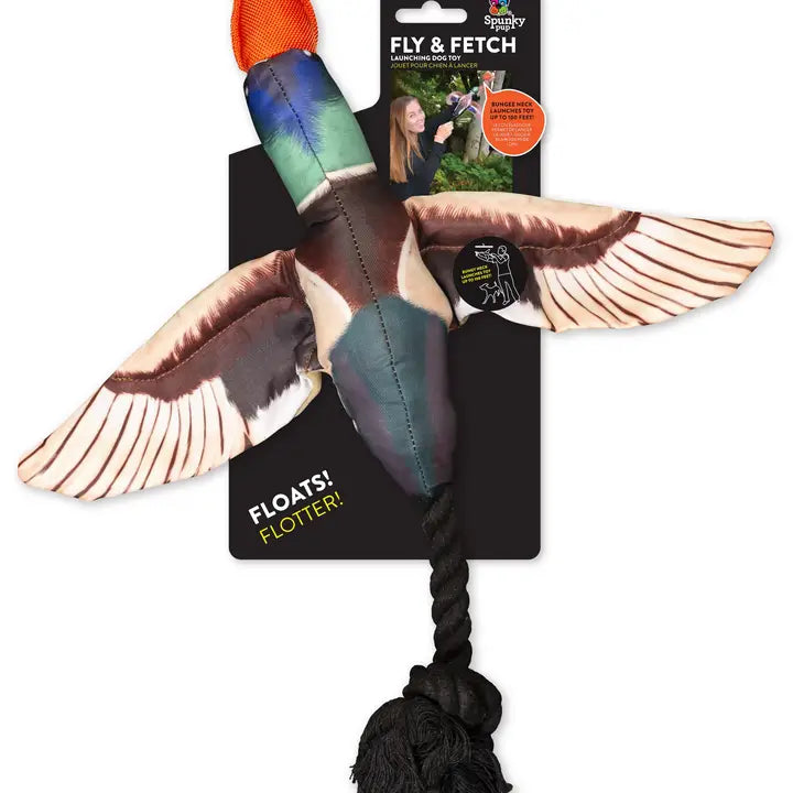 Fly & Fetch Eagle - Fetch Toy
