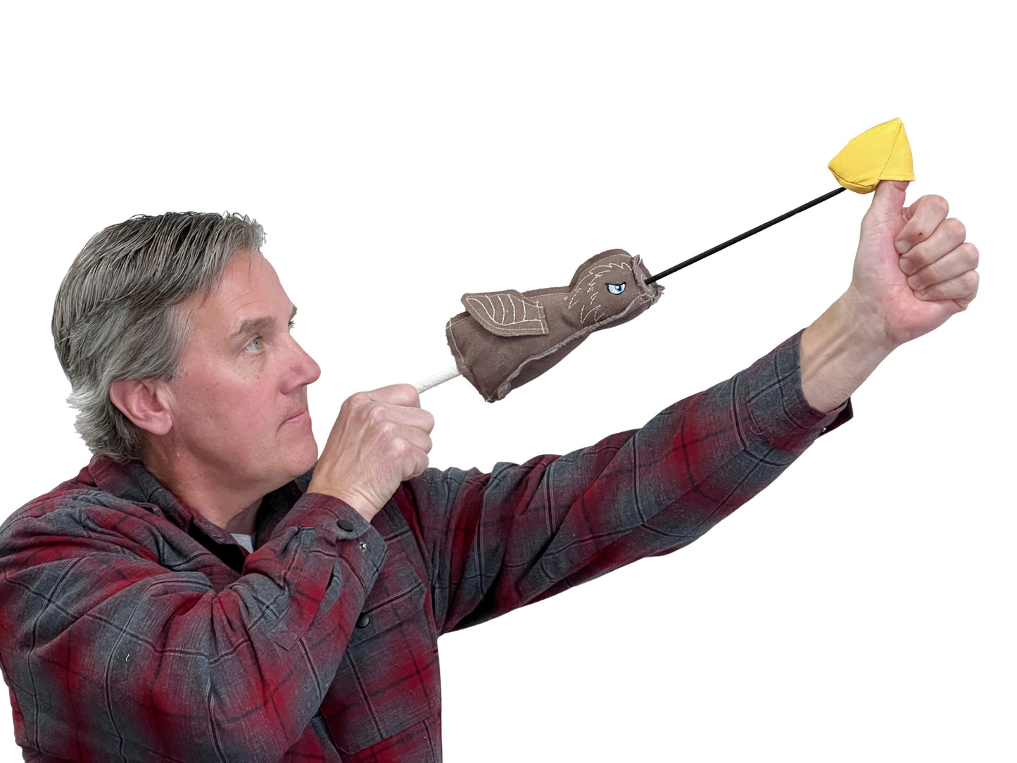 Fly & Fetch Fish - Fetch Toy