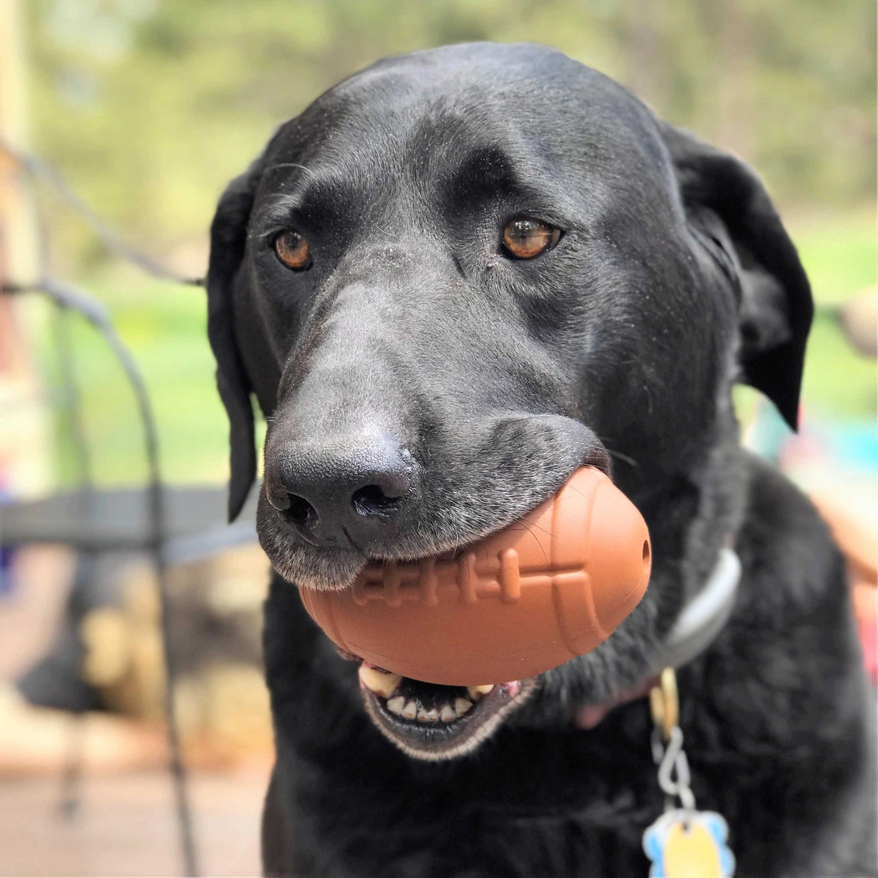 Rubber Football Chew Toy - Treat dispenser for heavy chewers