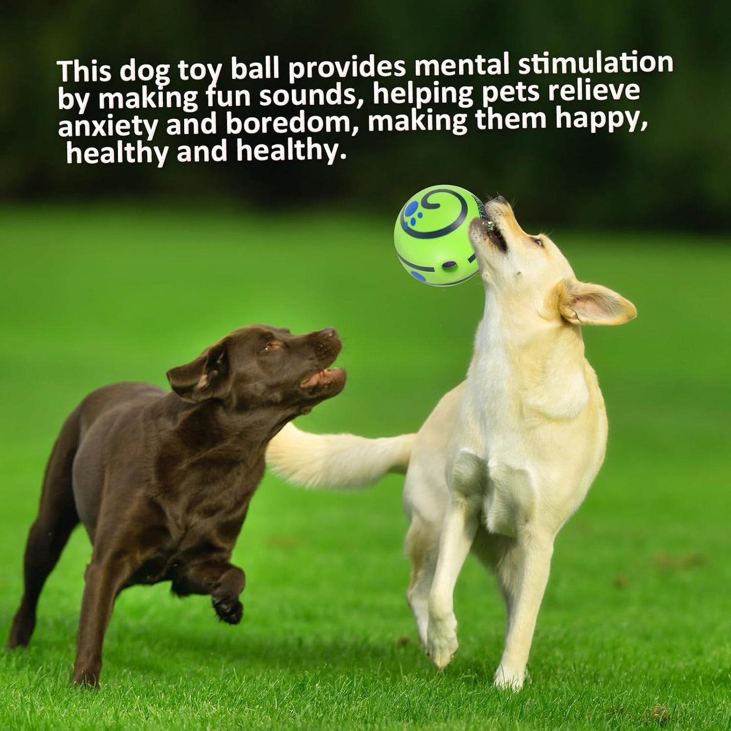 Giggle Wiggle Ball