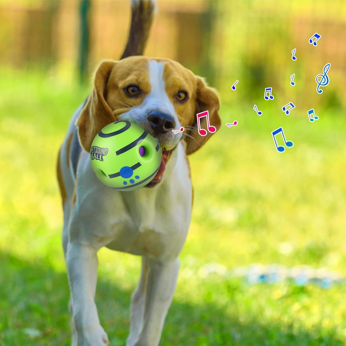 Giggle Wiggle Ball