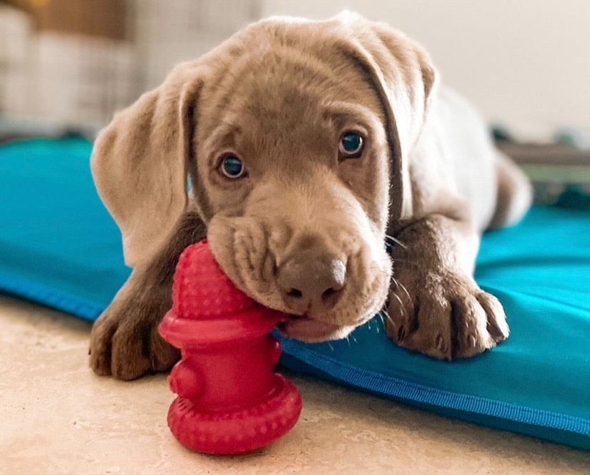 Double Wall Fire Hydrant - Natural Rubber