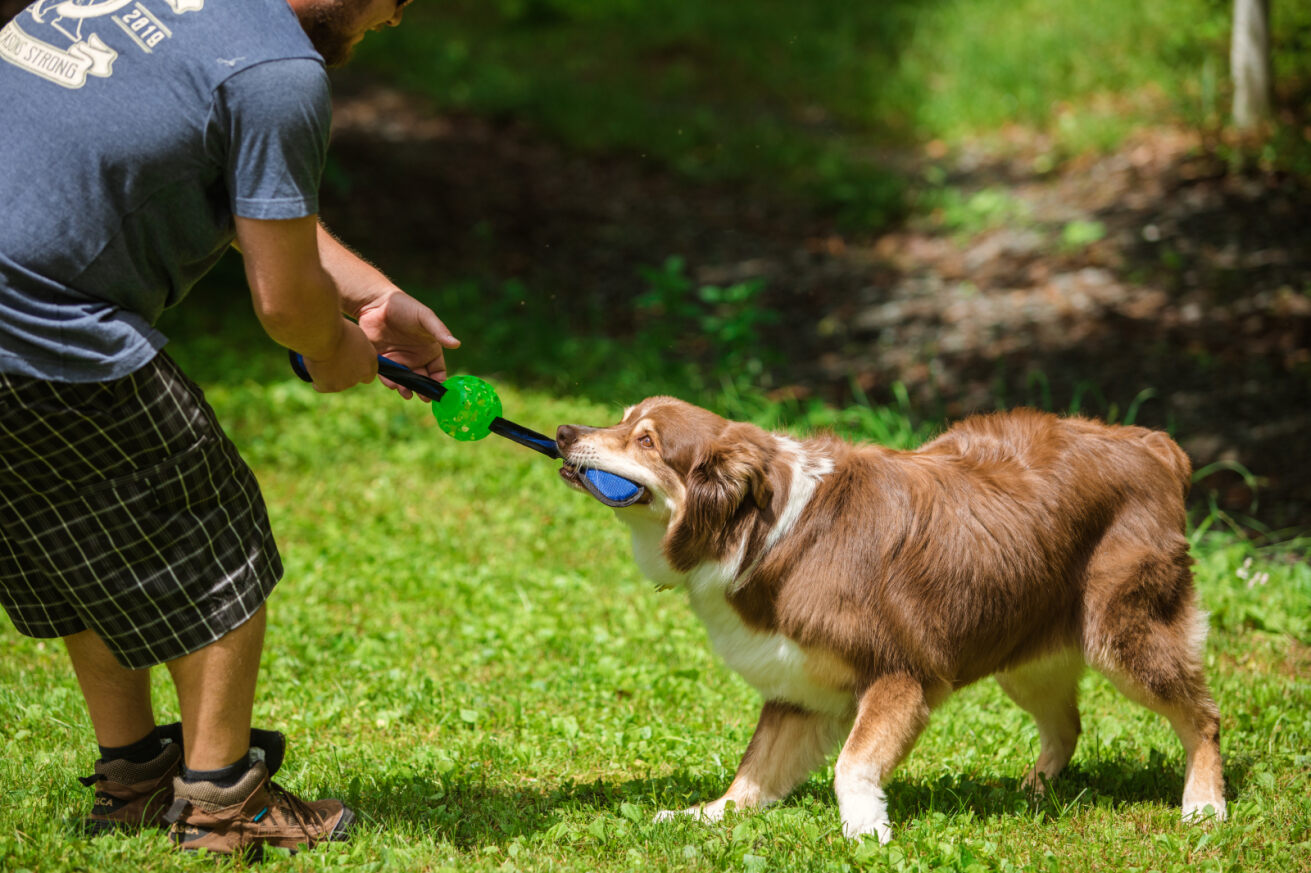 Hero Bunny Ball - Action & Squeak