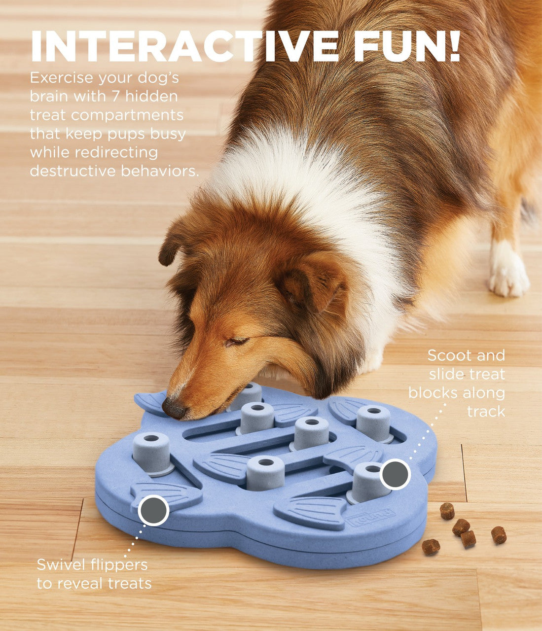 Dog Hide N' Slide Interactive Treat Puzzle Dog Toy - Purple