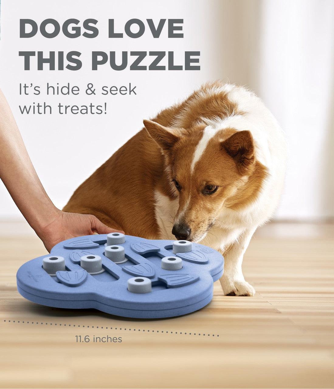 Dog Hide N' Slide Interactive Treat Puzzle Dog Toy - Purple
