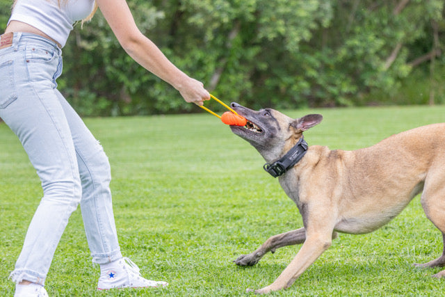 Looped Hive Toy - Tug & Fetch Dog Toy
