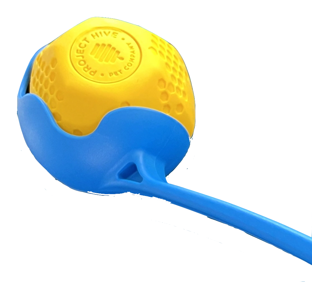 Hive Ball Dog Toy - Irregular Bounce