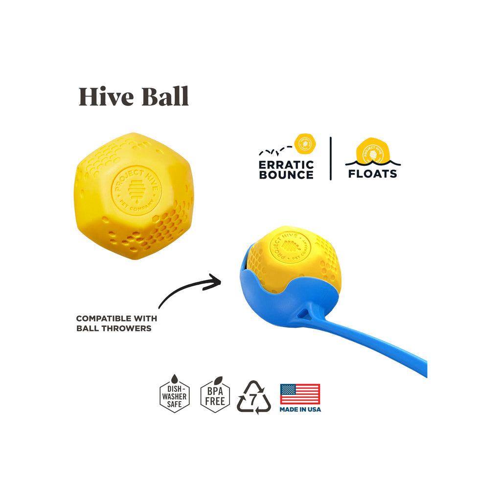 Hive Ball Dog Toy - Irregular Bounce