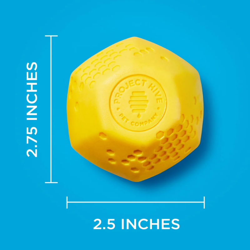 Hive Ball Dog Toy - Irregular Bounce
