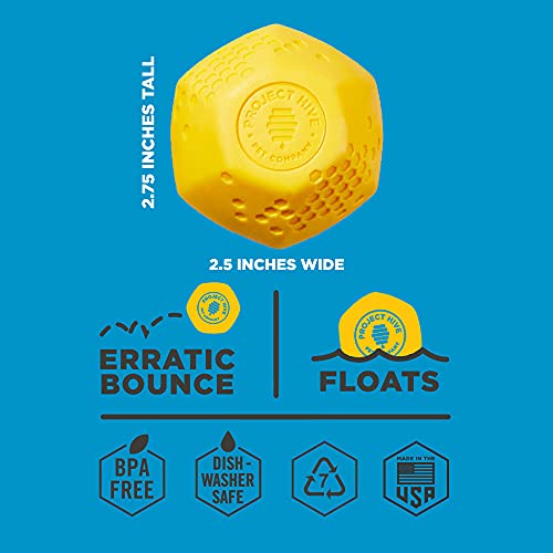 Hive Ball Dog Toy - Irregular Bounce