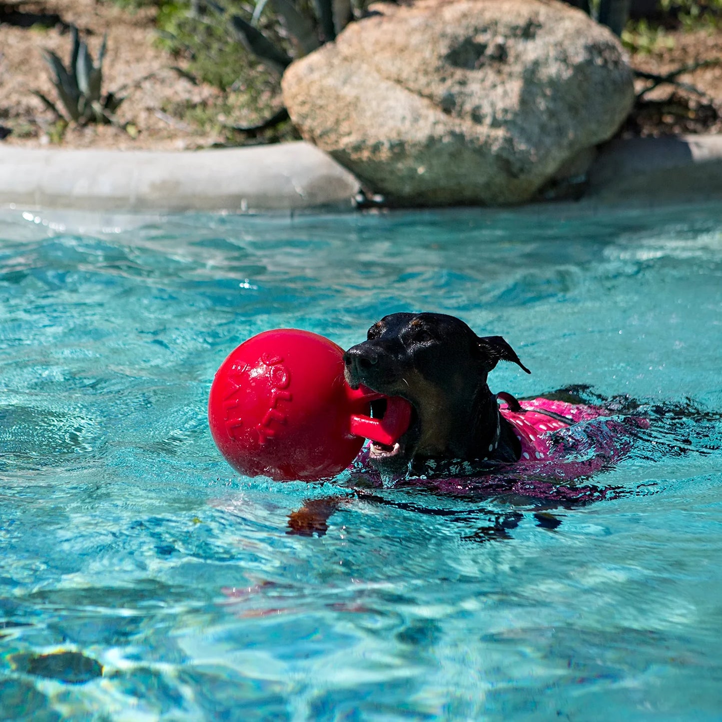 Jolly Pet Tug-N-Toss 6" Red or Blue