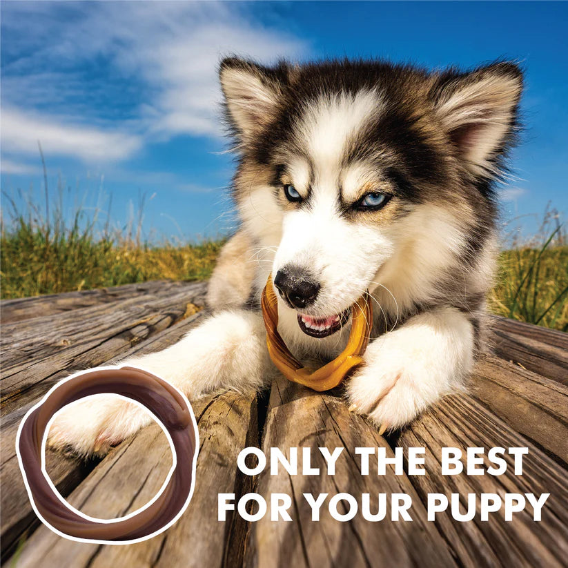 Puppy Teething Ring - Peanut Butter