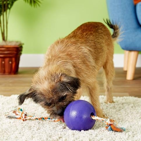 Jollypet Romp-N-Roll 8" Purple