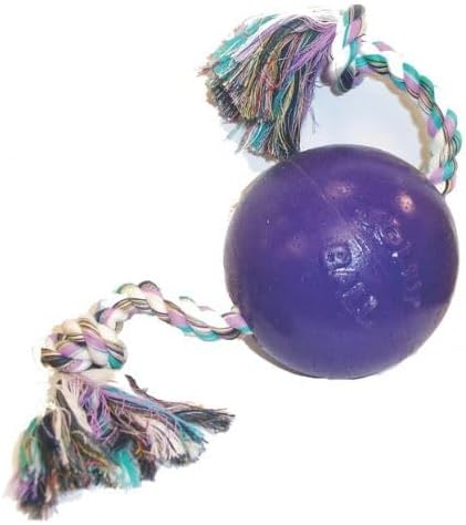 Jollypet Romp-N-Roll 8" Purple