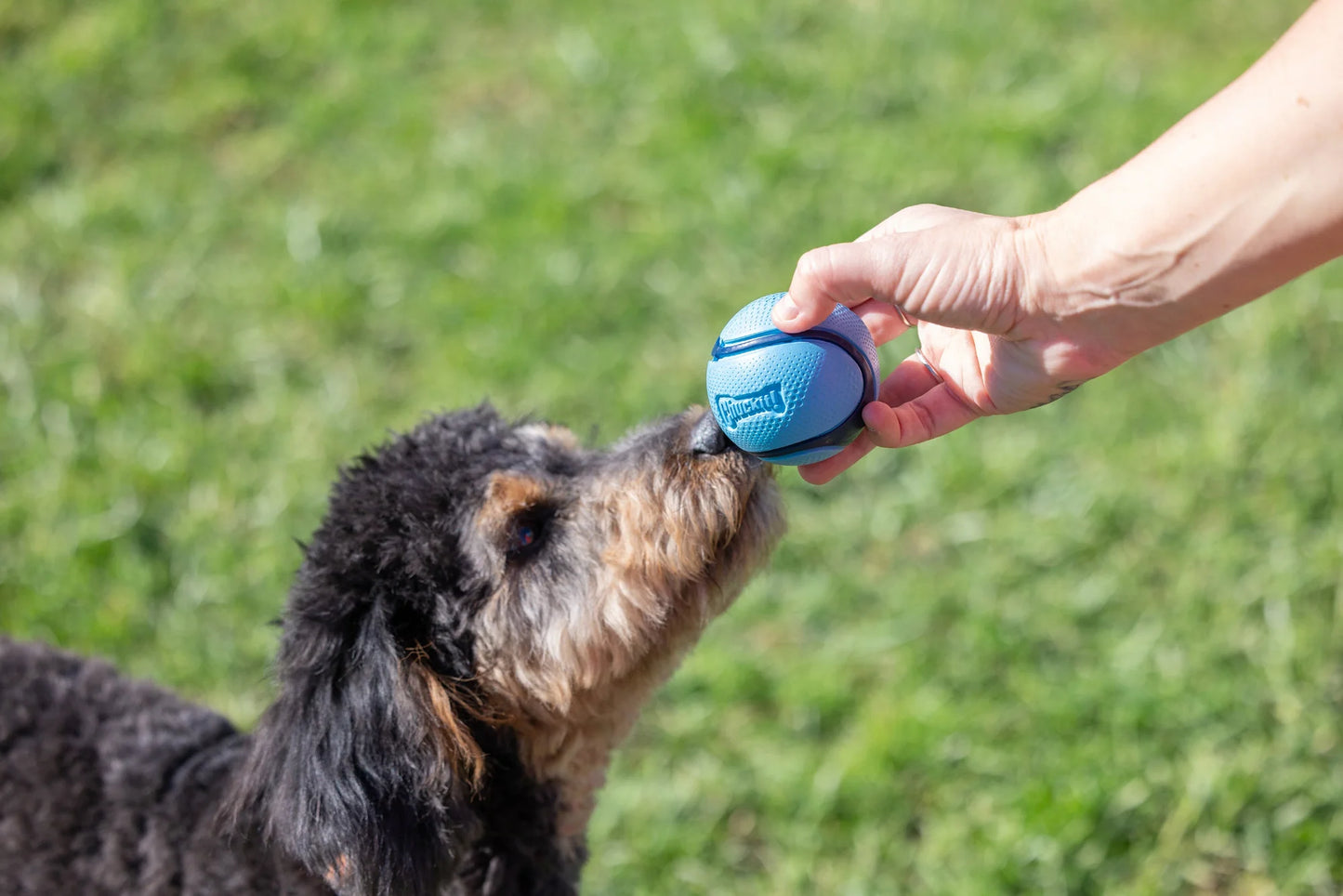 Chuckit! Sniff Fetch Ball Duo - Bacon & Peanut Butter