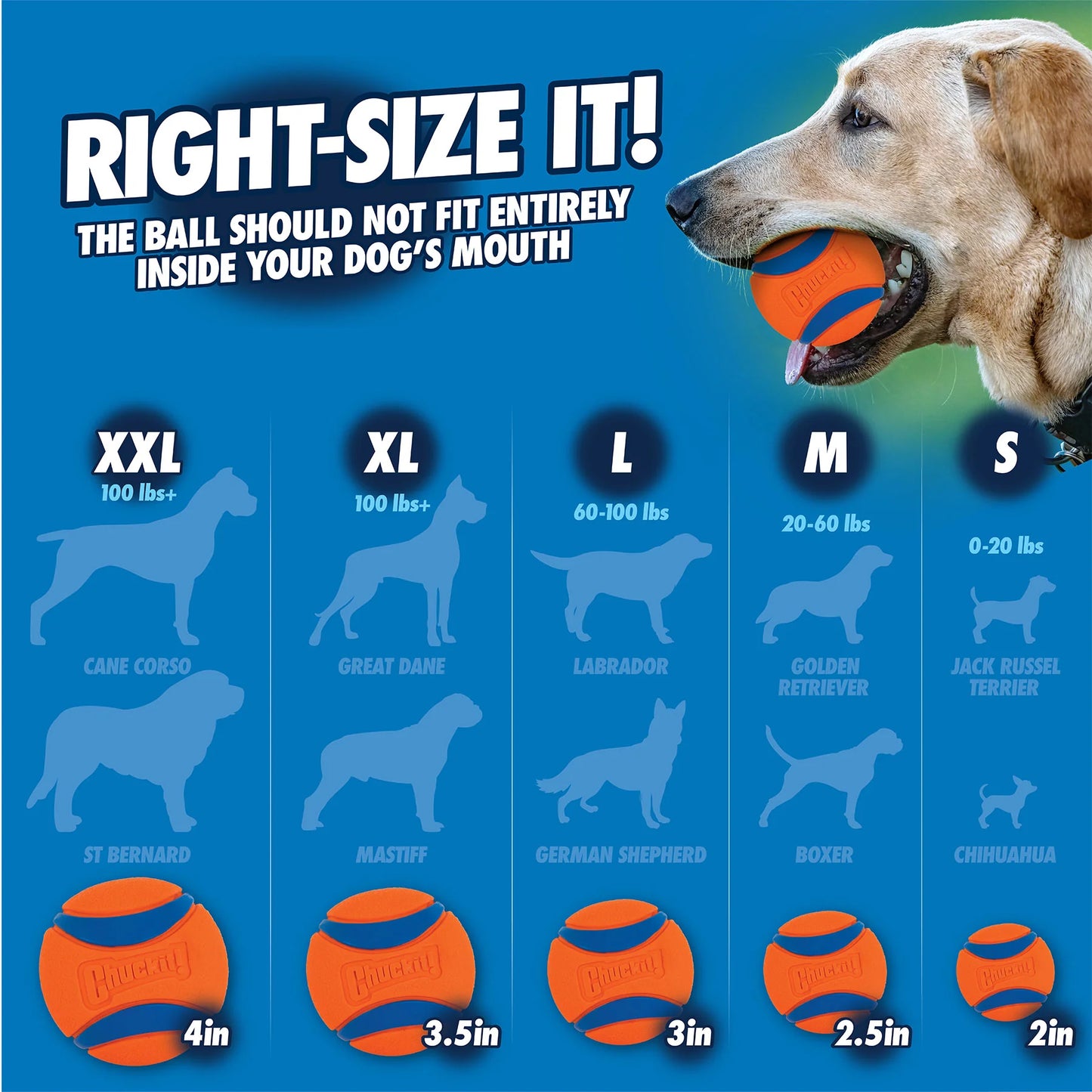 Chuckit! Sniff Fetch Ball Duo - Bacon & Peanut Butter
