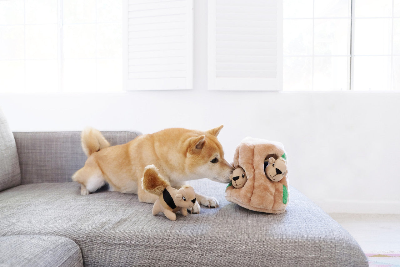 Hide & Seek Squirrel Puzzle by Outward Hound - Small
