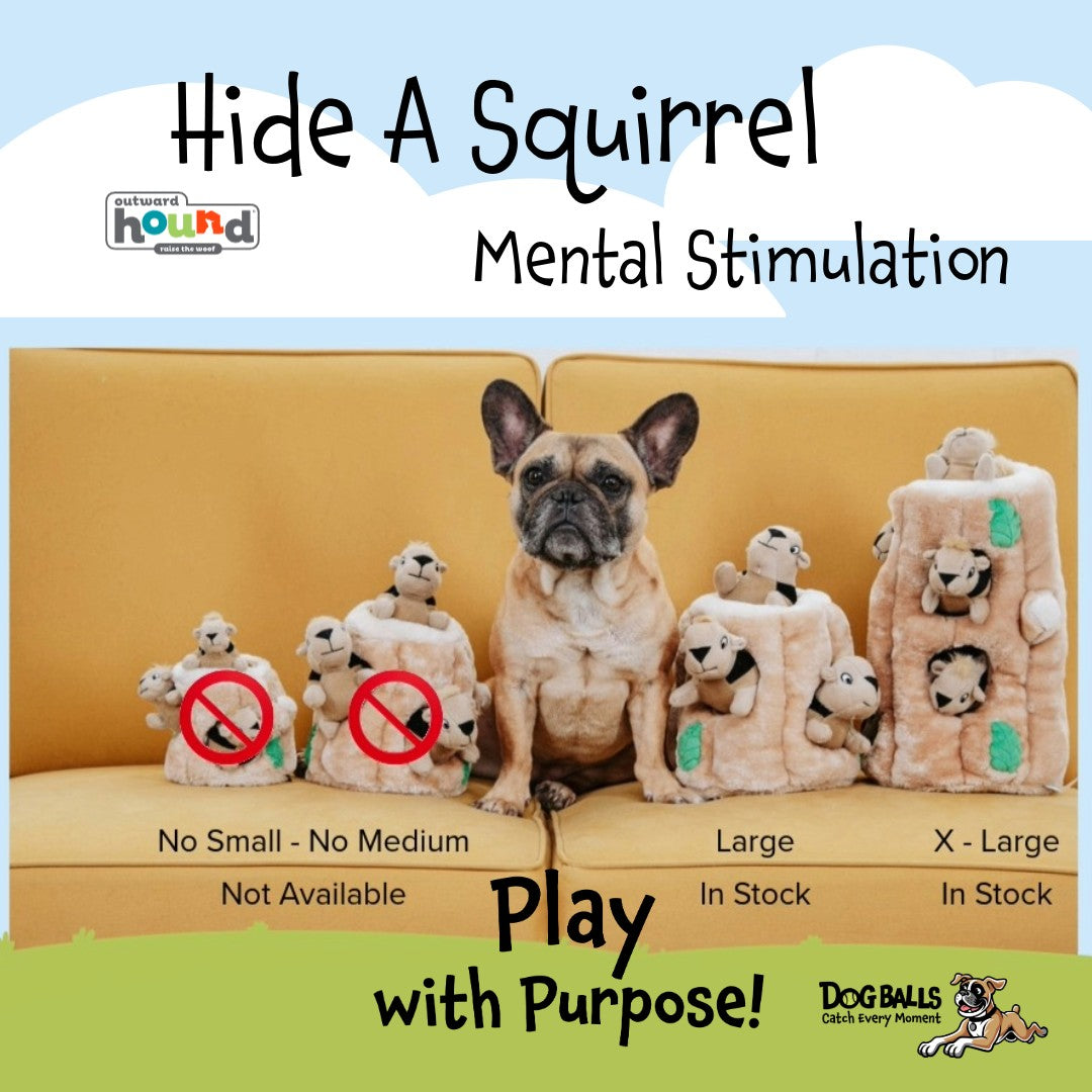 Outward Hound Hide & Seek Squirrel Puzzle