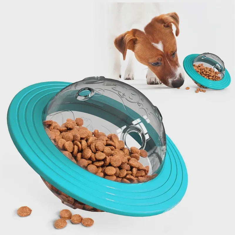 Puzzle Ball Treat Feeder