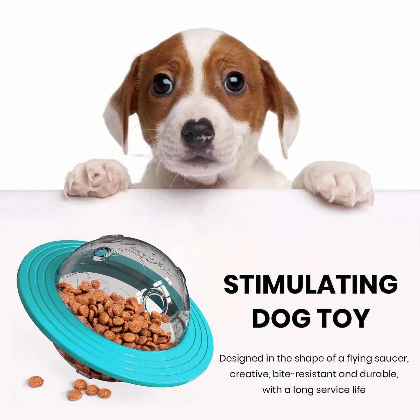 Puzzle Ball Treat Feeder