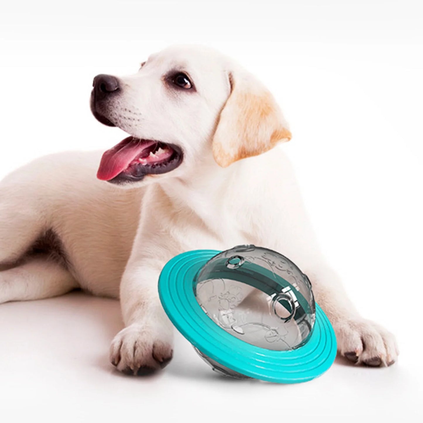 Puzzle Ball Treat Feeder
