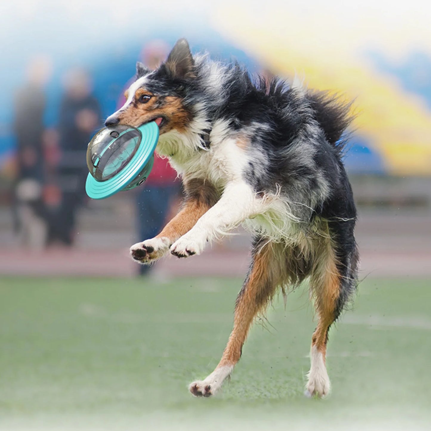 Puzzle Ball Treat Feeder