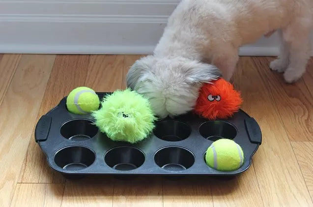 New Life Tennis Balls