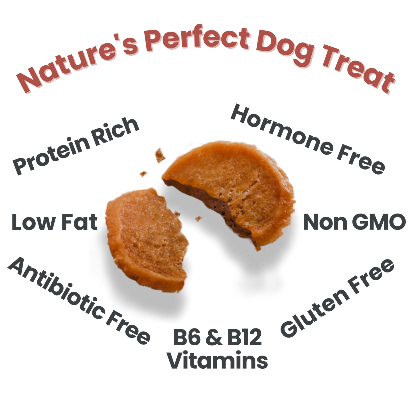 Chicken Chips Dog Treats