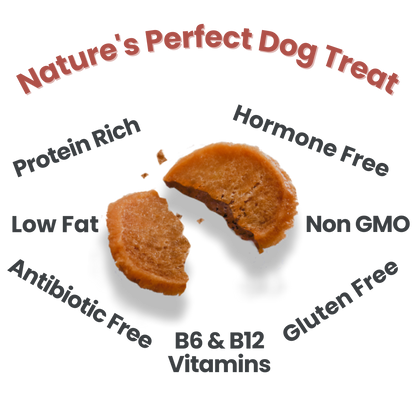 Chicken Chips Dog Treats