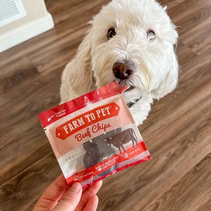 Beef Chips Snack Packs for Dogs