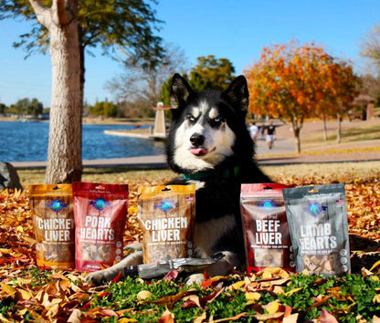 Freeze Dried Lamb Heart Treats - USA