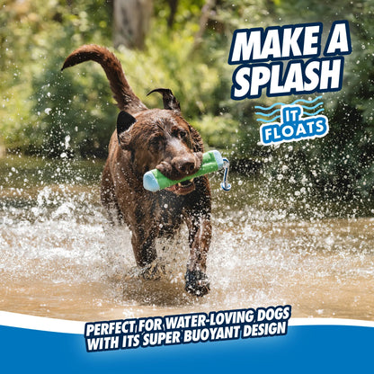 Chuckit! Amphibious Bumper Floating Dog Toy