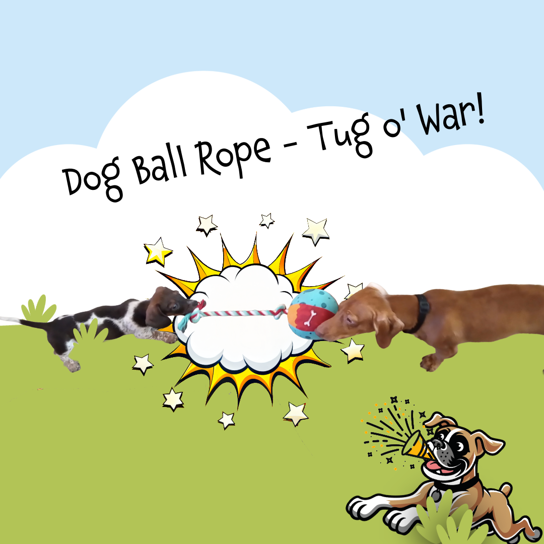 Dog Ball Rope - Tug o' War