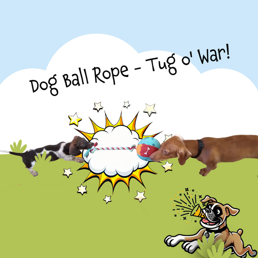 Dog Ball Rope - Tug o' War